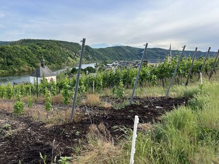 Fotografie de la Andreas Stopperich de-a lungul turului