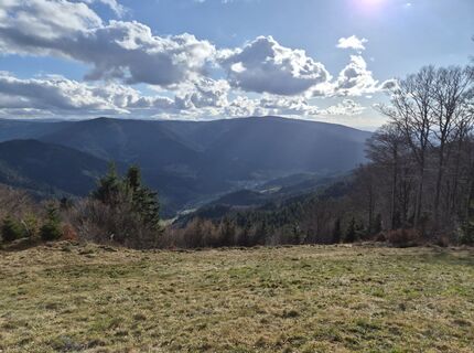 Foto von Hans Maier 2 entlang der Tour