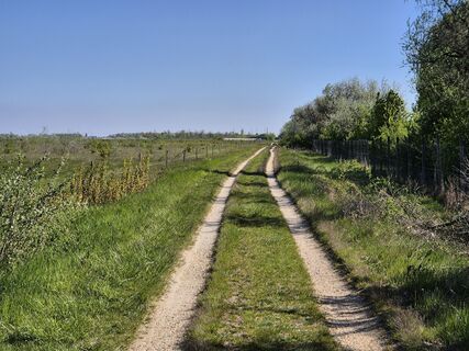 Foto de josef duermoser a lo largo del recorrido