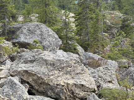 Fotografia z C Verbeek na trase