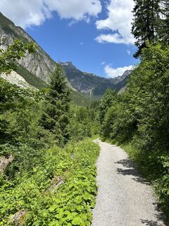 Photo de Sandy Wolf le long du parcours