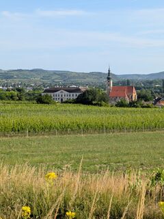 Gobelsburg, Niederösterreich/Österreich