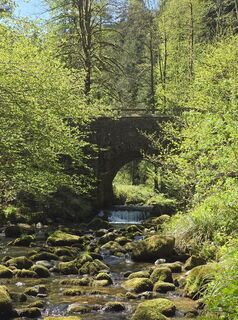 Fotografija s spletne strani Michel Kennel na poti