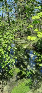 Fotografie de la Marko Salow de-a lungul turului