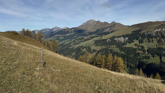Photo de peter_oe le long du parcours