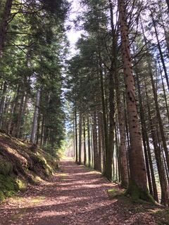 Foto de Ralf Umminger a lo largo del recorrido