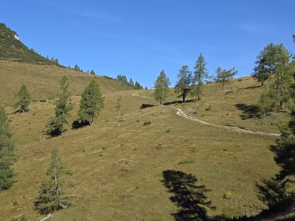 Foto von kajaktiv entlang der Tour