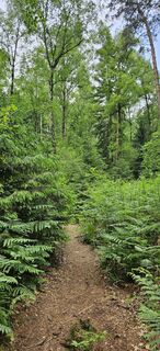 Fotografie z Andreas Henning na trase