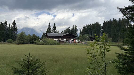 Foto da Daniel Härtel lungo il tour