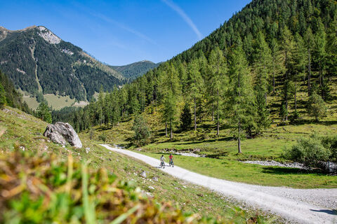 Mit dem Bike im wunderschönen Marbachtal