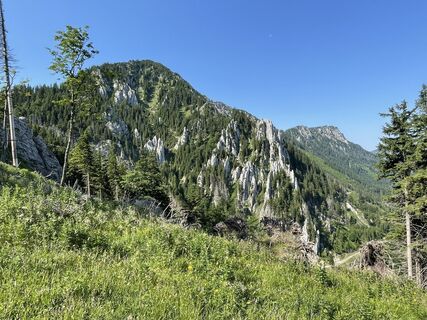 Fotografie z voeslauer na trase