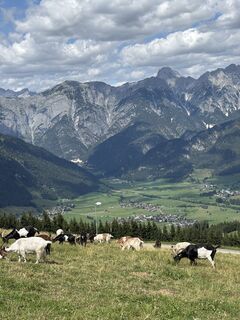 Foto von Mo Ritz entlang der Tour