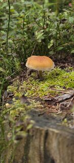 Photo de Nat Alia le long du parcours