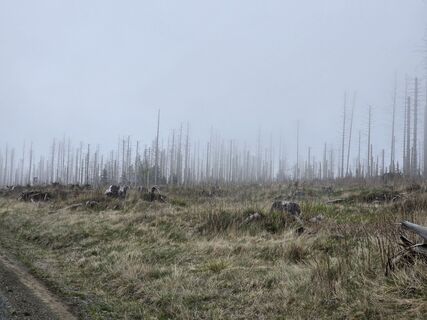 Photo de Martina Gerneck le long du parcours