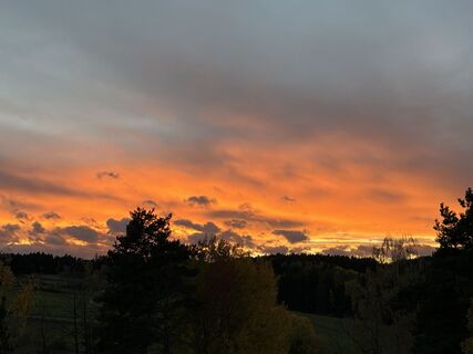 Foto de Alfred Pelz 2 a lo largo del recorrido