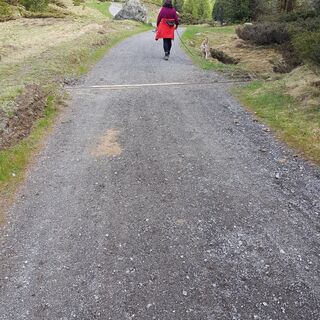 Qualität des Weges nahe Pontresina