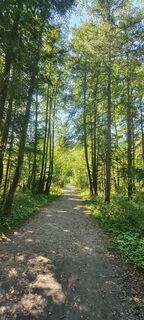 Foto von Sonja Enzenhofer entlang der Tour