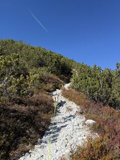 Photo de Nina Wolf le long du parcours