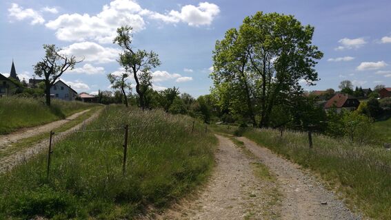 Auf den Spuren ehemaliger Mühlen im Orlatal