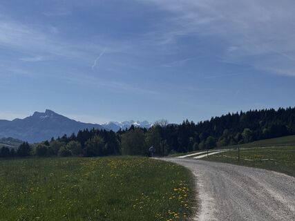 Foto von Friederike Steyrer entlang der Tour