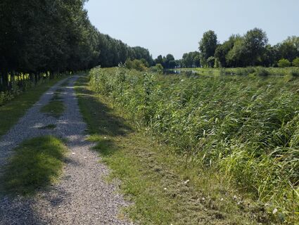 Photo de bergmax69 le long du parcours