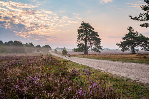 Sandwege in der Osterheide