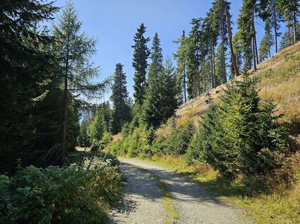 Fotografia z Christian Hutter 1 na trase