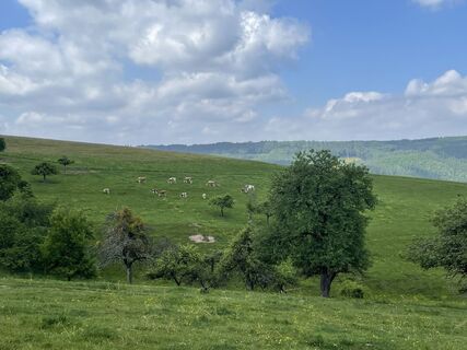 Fotografie z Uwe Puttenat na trase