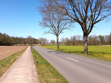 Landstraße K42 bei Bienenbüttel