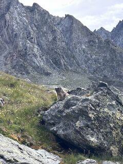 Foto de Nicolas Hunloh a lo largo del recorrido