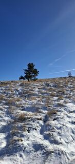 Zdjęcie z Davor  Umag City Croatia.?? wzdłuż trasy