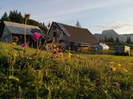 Hörndlalm im ersten Sonnenlicht