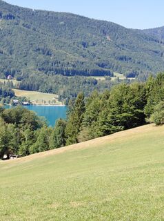 Photo de heli krempler le long du parcours