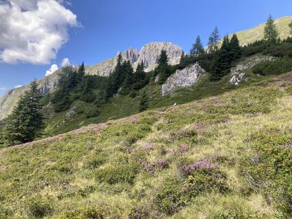 Photo de Florian Eder 2 le long du parcours