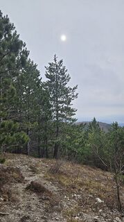 Foto von Robert8992 entlang der Tour