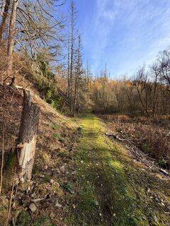 Fotografia z TallWanderBilly na trase