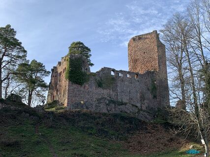 Foto von cabrol florian entlang der Tour