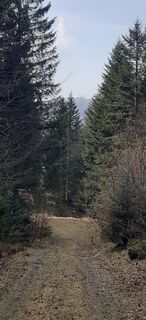 Photo de Bernard Piat le long du parcours