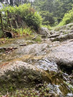 Foto von Natur_erleben_dg entlang der Tour