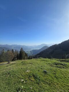 Photo from se_muck along the tour