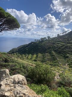 Foto von Andrea Morotti entlang der Tour