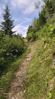 Foto von Markus Zweifel entlang der Tour