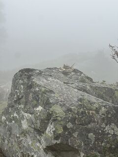 Photo de Elie Duffas le long du parcours