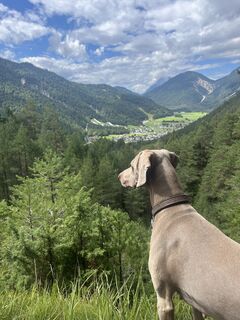 Foto von Thomas Schlüter 3 entlang der Tour