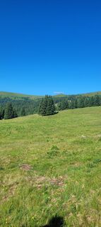 Fotografia z Alois-Gerhard Mairitsch na trase