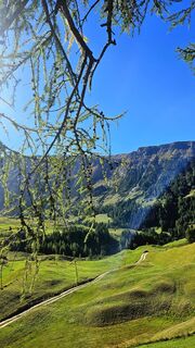 Photo de Veronika Strauss le long du parcours