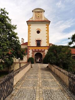 Fotografia z Erwin Krumböck na trase