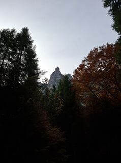 Fotografie z Ralf Gürtler na trase