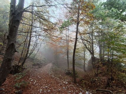 Fotografija s spletne strani Gabriele Ravasi na poti