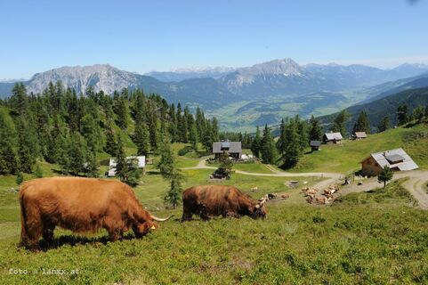 Galsterbergalmhütten